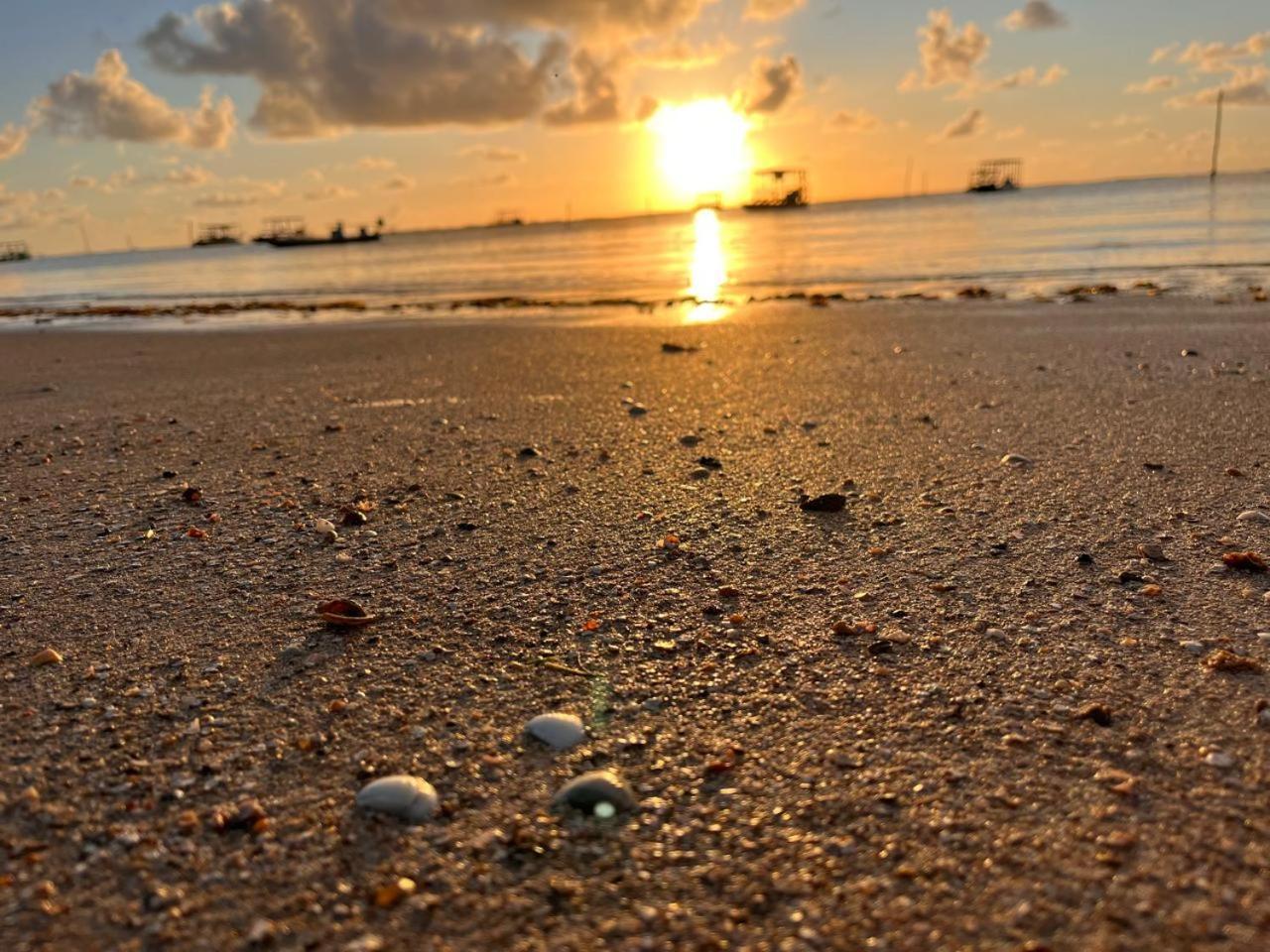Pousada Sunshine Patacho Rota Ecologica Dos Milagres Pôrto de Pedras Exteriör bild